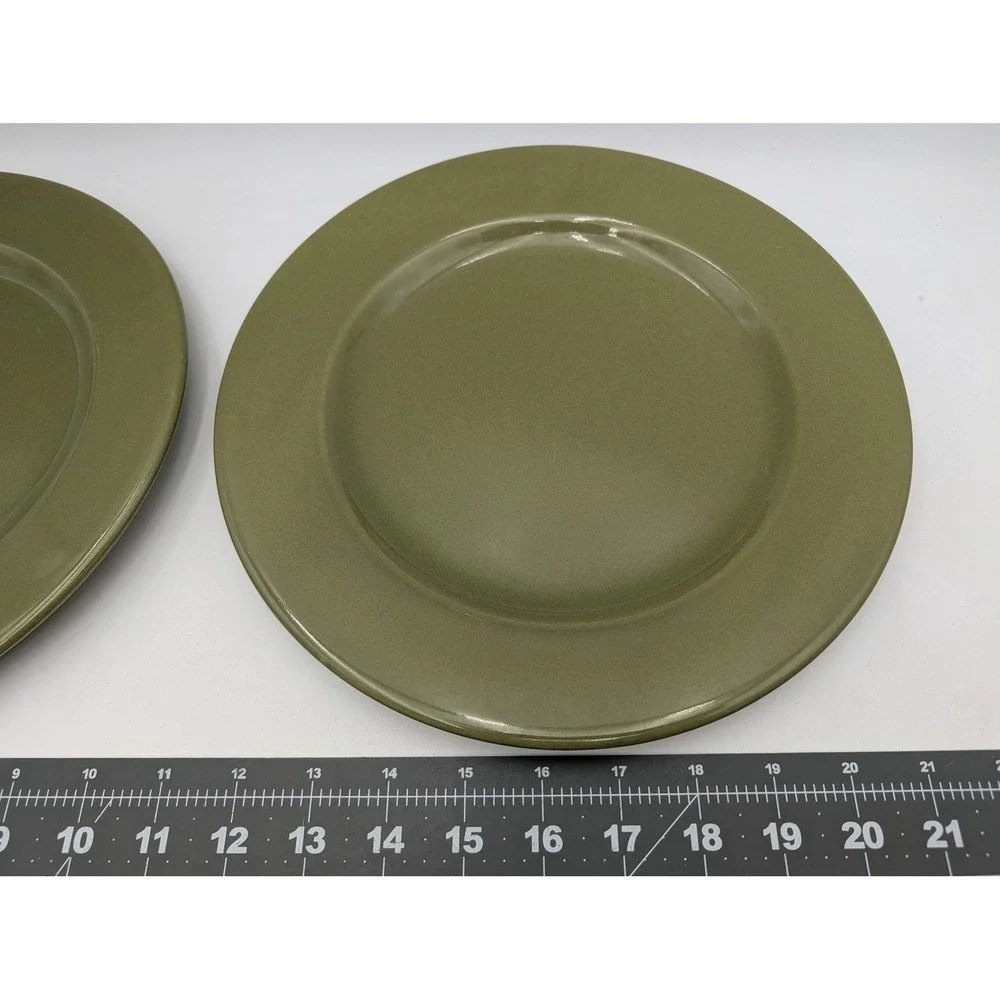Pier 1 Ironstone Bohemian‎ Green Dinner Plate 10.25 Inch Lot of 2